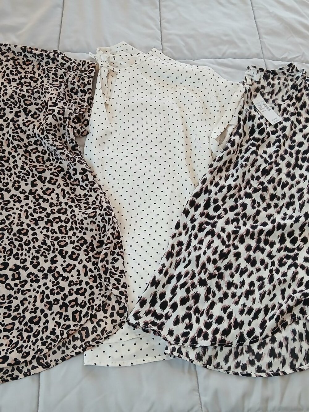 Maurices Set of Short Sleeve Shirts